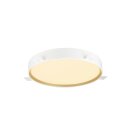 SLV 1008583 DECONA 42 Wand- und Deckenaufbauleuchte rund 2700/3000 K 23 W PHASE weiß / gold