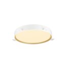 SLV 1008584 DECONA 42 Wand- und Deckenaufbauleuchte rund 2700/3000 K 23 W PHASE schwarz / gold