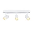 SLV 1008705 NOBLO® Wand- und Deckenaufbauleuchte...