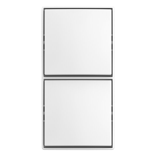 Busch-Jaeger 2601/6/2601/6 APJ-524 Kombination Schalter/Schalter  Aufputz 2TKA00005525