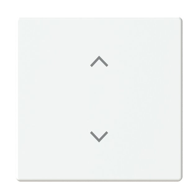 Busch-Jaeger 6735-11-884 Wippe 1-fach mit Symbol "Jalousie"  Format 63 2CKA006220A0991