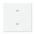 Busch-Jaeger 6735-11-884 Wippe 1-fach mit Symbol...