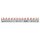 ABB PSX1/24N Phasenschiene FlexLine 1P+N 24Pins 12 TE 10qmm 2CDL210180R1024