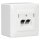 Rutenbeck UAE - Cat. 6A iso Universal-Anschlussdose / Datendose LAN mit Unterputz-Abdeckung reinweiß 136112070 + Aufputz-Gehäuse 13511503, 2-fach RJ45, 10 Gbit/s, geschirmt