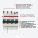 ABB 2CSR256192R1065 DSX203NCA-B6/0 03 Flexline FI/LS-Schalter 6kA  3P+N  Typ A  B 6  30mA
