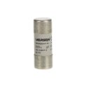 ABB 2CSM259523R1801 E 9F22 GG100 Sicherung 22x58mm...