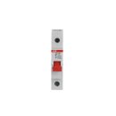 ABB 2CDE281001R0100 E201/100R Trennschalter 1P 100A...