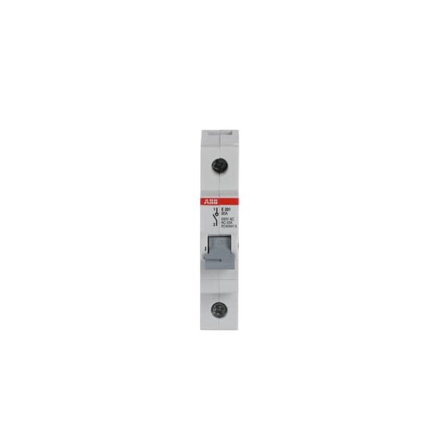 ABB 2CDE281001R1080 E201/80G Trennschalter 1P 80A Schaltgriff grau