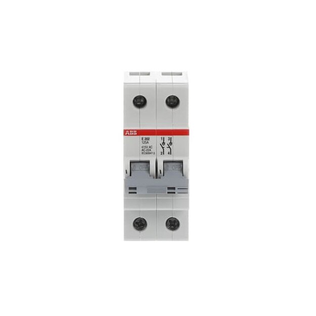 ABB 2CDE282001R1125 E202/125G Trennschalter 2P 125A Schaltgriff grau