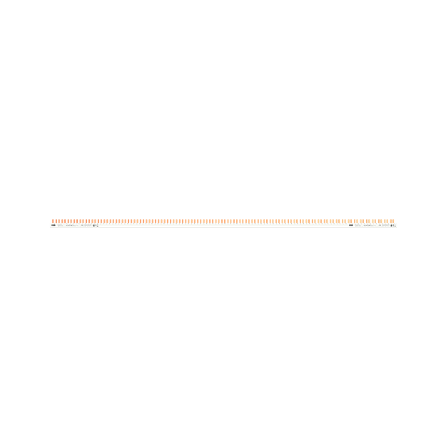 ABB 2CDL210331R1060 Phasenschiene PSc 1/120/10 N 1 Phase+N  1 Meter  120Pins 10qmm für FI/LS DS301C