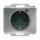 Busch-Jaeger 2310EUGL/VA-266-11 Busch-Protector® SCHUKO® Steckdosen-Einsatz mit Überspannungsschutz (Kunststoff (lackiert)) Titan 2CKA002011A3829
