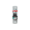ABB 2CCG001216R0001 S801P-B125...