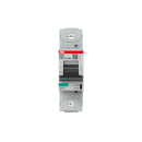 ABB 2CCG001252R0001 S801P-K125...
