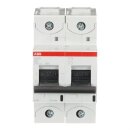 ABB 2CCS862017R0587 S802U-K60...