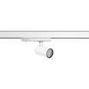 RZB 742297002 LED-Schienenstrahler