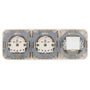 Busch-Jaeger Busch-Duro 2000 SI Set: 1x Rutenbeck Anschlußdose TAE 3x6 NFN Up0 rw mit Zentralscheibe + 2x  20 EUC-212 Steckdose + 2513-212 3-fach Rahmen Cremeweiß
