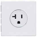 Exklusives Angebot: Jung LS521-20WW Nema-Steckdose 20 A...
