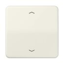 Exklusives Angebot: Jung CD101P Wippe für Taster...
