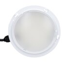 BEGA 51462.1K4 Downlight Prima für den Innenbereich Samtweiß · 4000 K