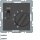 Berker 20316086 Temperaturregler 24 V mit Öffner Zentralstück Wippschalter und LED Q.x Anthrazit samt