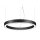 Brumberg 13528184 LED-Pendel-Ringleuchte  BIRO CIRCLE Schwarz
