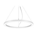 Brumberg 13856179 LED-Pendel-Ringleuchte D=1800mm Tunable...