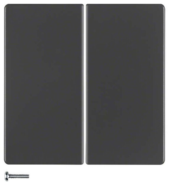 Berker 85648126 KNX-Funk Taste 4-fach quicklink Q.1/Q.3 Anthrazit samt