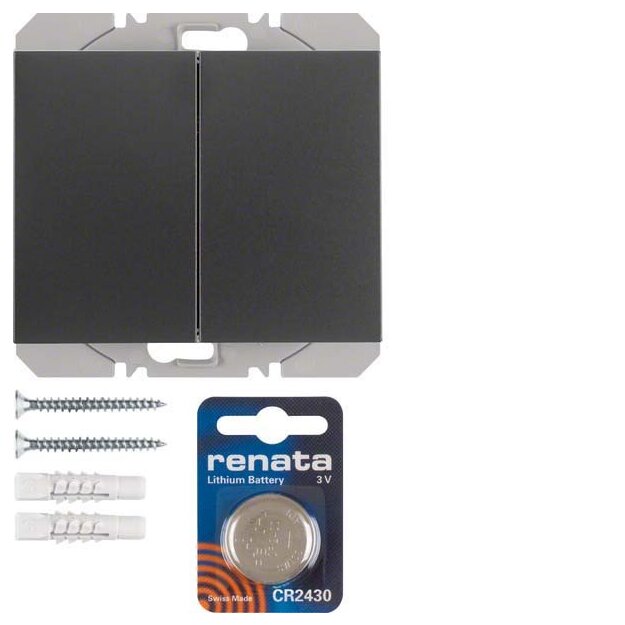 Berker 85656275 KNX-Funk Wandsender 2-fach flach Quicklink K.1 Anthrazit matt