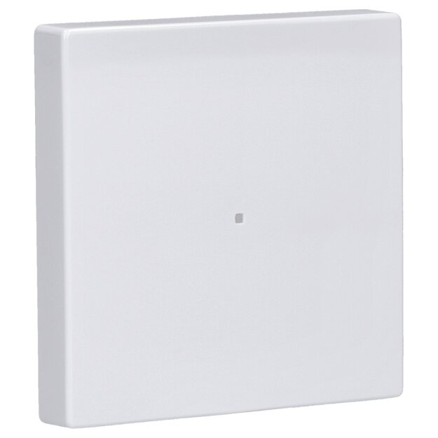 Busch-Jaeger 6230-10-84 Wippe 1-fach, ohne Bedruckung (Thermoplast) Studioweiß 2CKA006220A0034