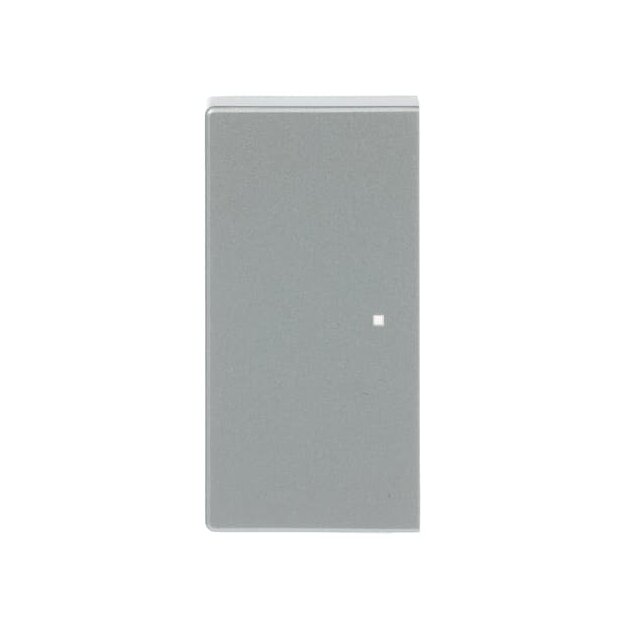 Busch-Jaeger 6230-20-83 Wippe 2-fach links/rechts, ohne Bedruckung (Thermoplast) Alusilber 2CKA006220A0048