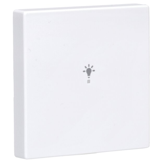 Busch-Jaeger 6231-10-84 Wippe 1-fach, mit Symbol "Licht" (Thermoplast) Studioweiß 2CKA006220A0037