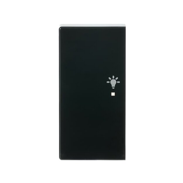 Busch-Jaeger 6231-21-81 Wippe 2-fach links, mit Symbol "Licht" (Thermoplast) Anthrazit 2CKA006220A0050