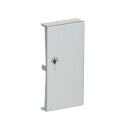 Busch-Jaeger 6231-22-83 Wippe 2-fach rechts, mit Symbol "Licht" (Thermoplast) Alusilber 2CKA006220A0063