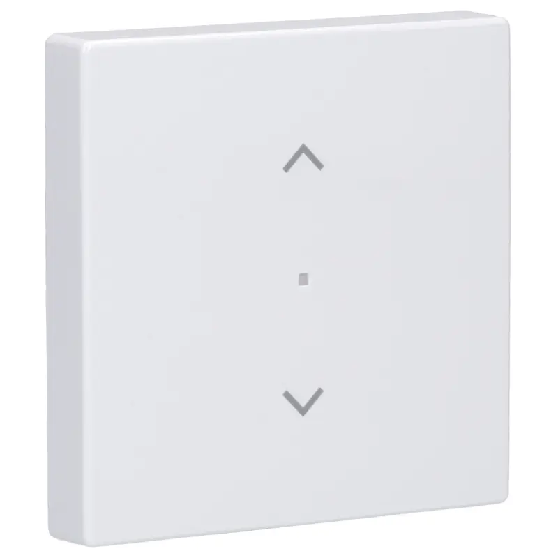 Busch-Jaeger 6232-10-84 Wippe 1-fach, mit Symbol...