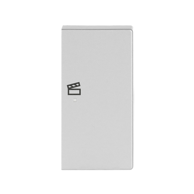 Busch-Jaeger 6233-22-83 Wippe 2-fach rechts, mit Symbol "Szene" (Thermoplast) Alusilber 2CKA006220A0069
