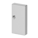 Busch-Jaeger 6233-22-83 Wippe 2-fach rechts, mit Symbol "Szene" (Thermoplast) Alusilber 2CKA006220A0069