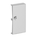 Busch-Jaeger 6233-22-83 Wippe 2-fach rechts, mit Symbol "Szene" (Thermoplast) Alusilber 2CKA006220A0069