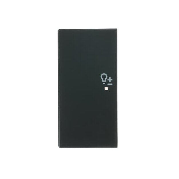 Busch-Jaeger 6234-21-81 Wippe 2-fach links, mit Symbol "Dimmer" (Thermoplast) Anthrazit 2CKA006220A0059
