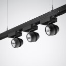 Trilux 7284000 Stromschienenmodul 3PH DALI 7650 3PHSchwarz