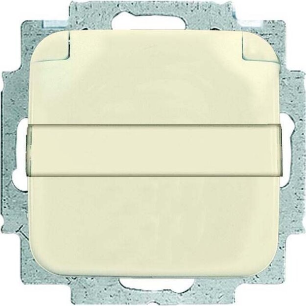 Exklusives Angebot: Busch-Jaeger 20 EUKN-212 SCHUKO® Steckdosen-Einsatz mit Klappdeckel und Beschriftungsfeld (Thermoplast) Weiß 2CKA002018A0604 - nur für kurze Zeit