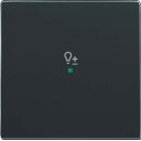 Exklusives Angebot: Busch-Jaeger 6234-10-81 Wippe 1-fach,...