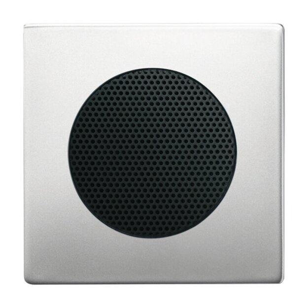 Exklusives Angebot: Busch-Jaeger 8253-866 Zentralscheibe (Kunststoff (lackiert)) Edelstahl pur edelstahl 2CKA008200A0087 - nur für kurze Zeit