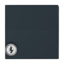 Exklusives Angebot: Busch-Jaeger 2118 GKSL-35...