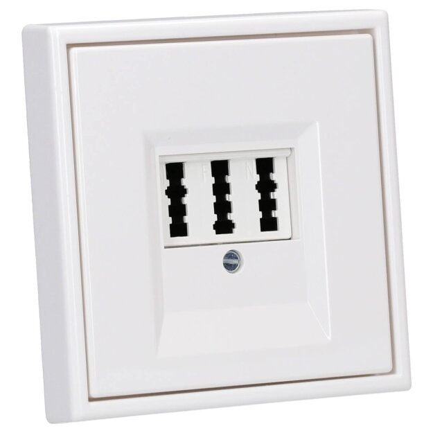 Jung Serie LS Komplett-Set Alpinweiß: LS981WW Rahmen 1fach + LS969TWW Abdeckung f. TAE-Anschlussdose + TAE-Anschlussdose TAE 3x6 NFN Up 0 rw