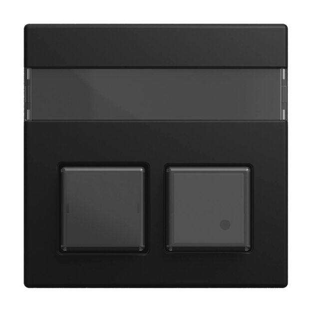 Busch-Jaeger 1572 CN-915 Zentralscheibe 2-fachmit Beschriftungsfeld Busch-balance® SI Schwarz matt 2CKA001582A0458