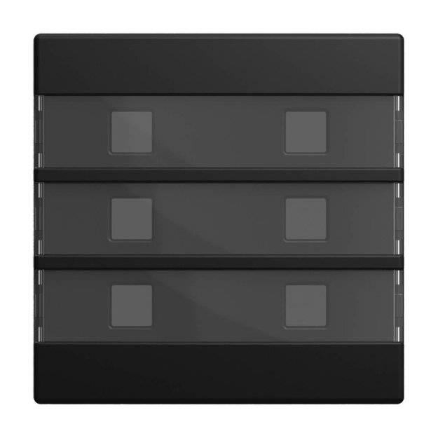 Busch-Jaeger 1575 CN-915 Zentralscheibe 6-fachbeleuchtbar mit Beschriftungsfeld Busch-balance® SI Schwarz matt 2CKA001582A0460