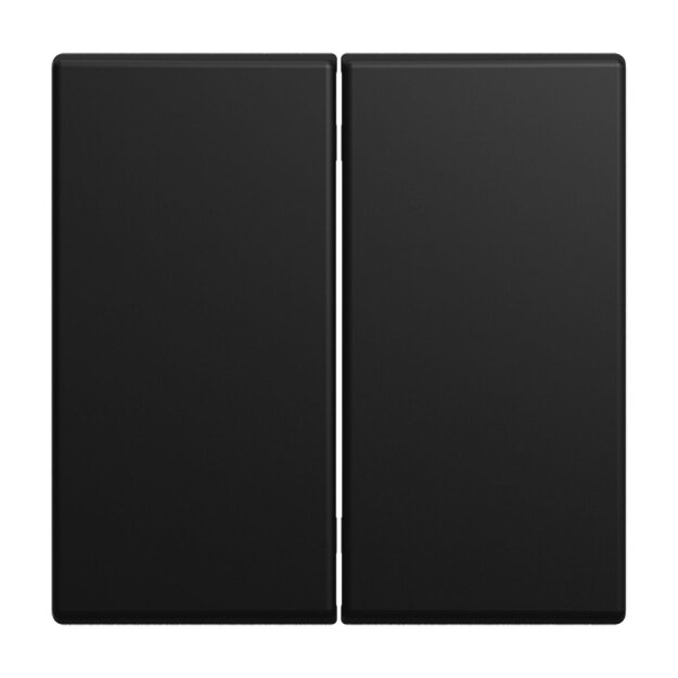 Busch-Jaeger 6736 FoH-915 Wippe 2-fach Smart Switch  Schwarz matt 2CKA006730A0172