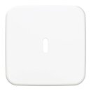 Busch-Jaeger 6479-214 Zentralscheibe...