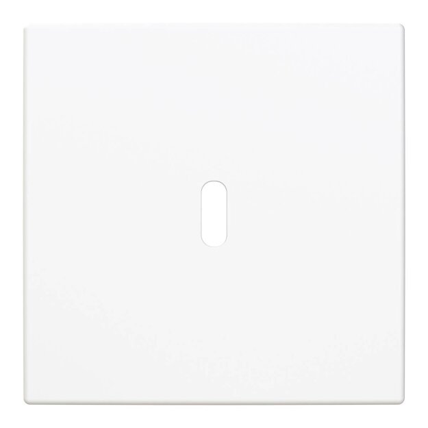 Busch-Jaeger 6479-914 Zentralscheibe USB-C-Power-Netzteil-Einsatz 65W Busch-balance® SI 2CKA006400A0441