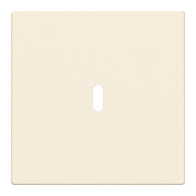 Busch-Jaeger 6479-82 Zentralscheibe USB-C-Power-Netzteil-Einsatz 65W  2CKA006400A0445